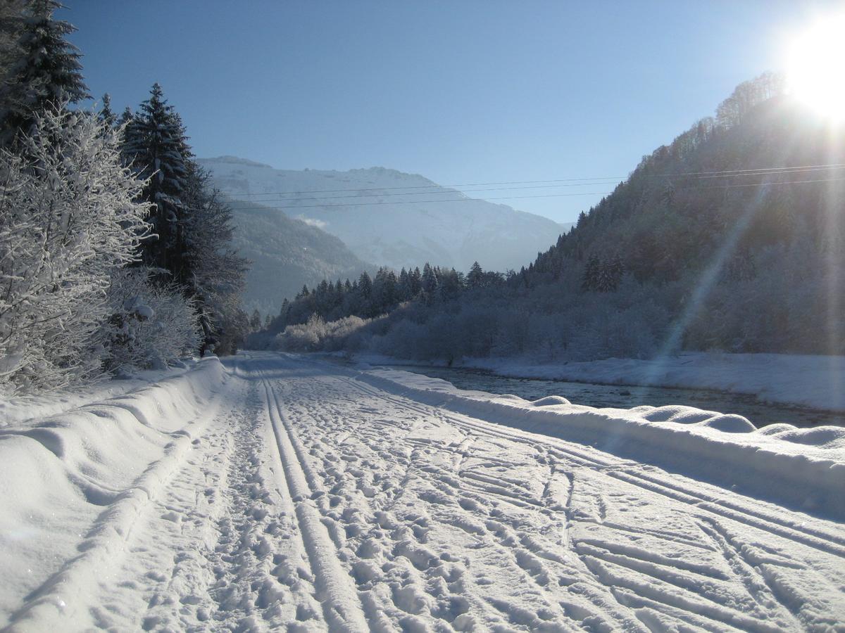 Samoens Apartment 2 Bedroom 50M2 Modern And Well Equipt Екстер'єр фото
